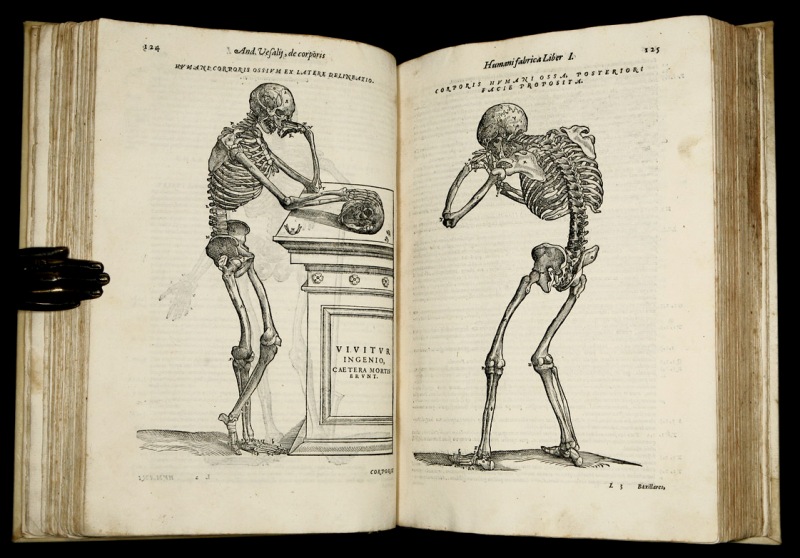 Книга по анатомии с переплетом из человеческой кожи.