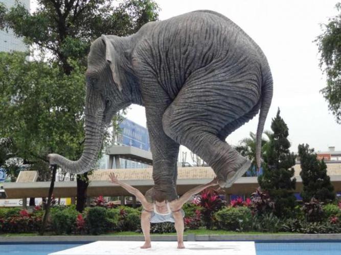  Философская скульптура «балансирующего слона на спине человека», расположенная на площади Гонконга. Fabien Mérelle