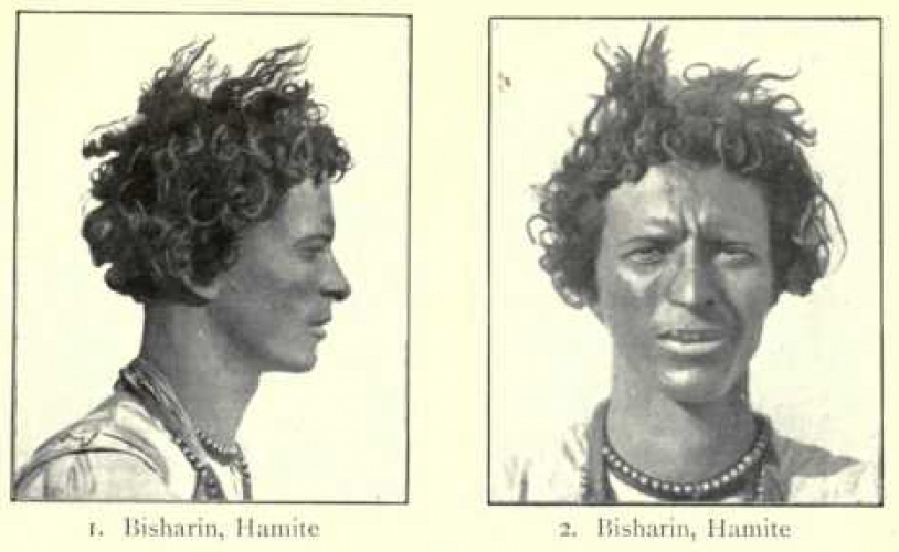 Представитель племени Бишарин как человек с «классическими хамитскими чертами», иллюстрация из книги Августуса Генри Кина Man, Past and Present (1899)