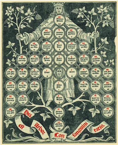 "Книга деревьев" Мануэля Лима.