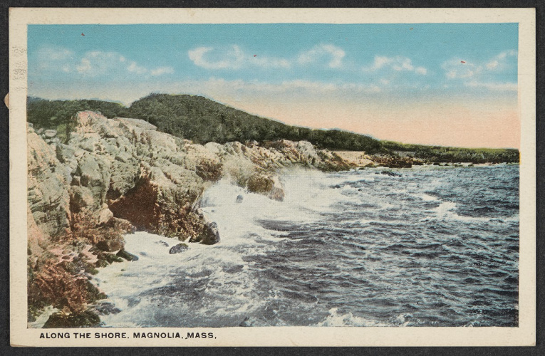  Открытка с берегом Магнолии, отправленная ГФЛ в 1927 г.