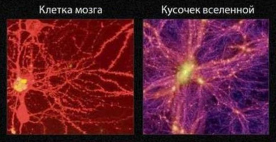От нейрона к галактикам
