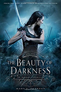 «The Beauty of Darkness»