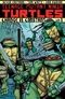 Teenage Mutant Ninja Turtles Vol. 1: Change Is Constant
