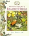 Adventures of the Mice of Brambly Hedge