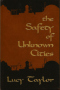 The Safety of Unknown Cities