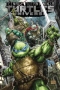 Teenage Mutant Ninja Turtles Universe, Vol. 01: The War To Come